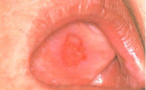 1615211843773676.jpg 33.jpg