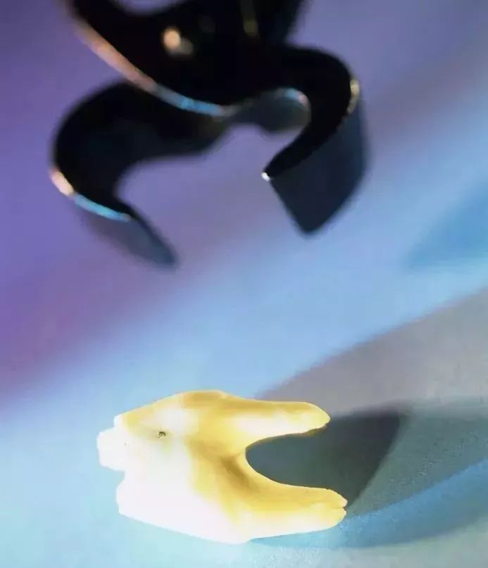 1615211844809979.jpg 88.jpg