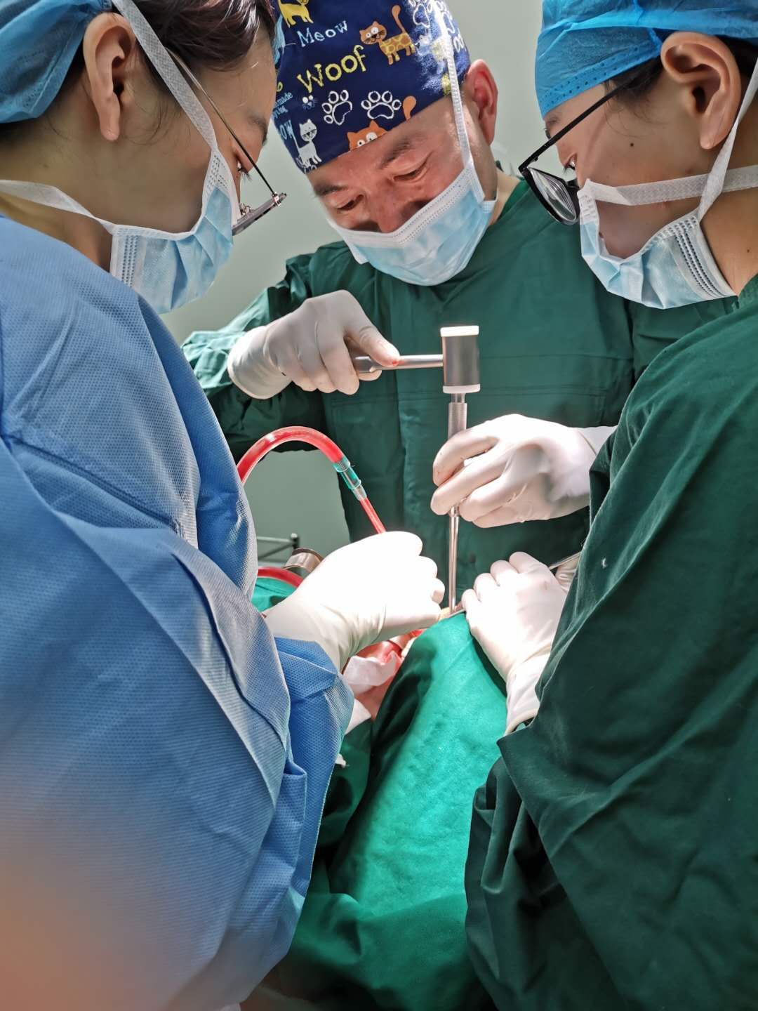 微信图片_20190424143003.jpg